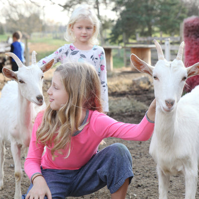 Goat Milk Soap Mason Grove Farm 